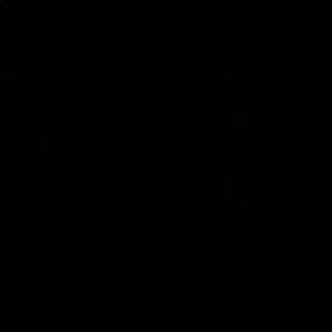 Meet your Posher, Jazzlyn